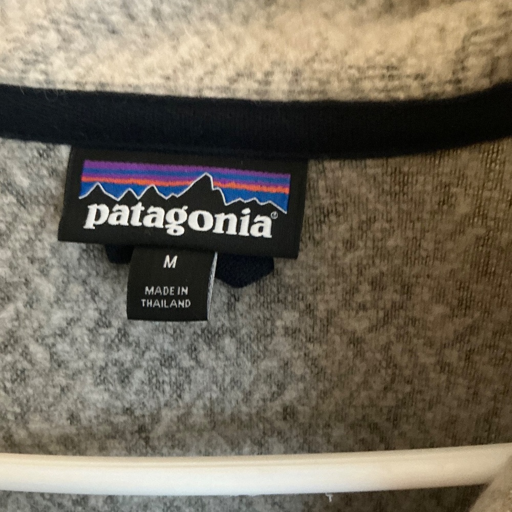 Patagonia M'S WOOLYESTER FLEECE OAT - Picture 2 of 3
